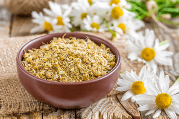 A decoction with adenoma